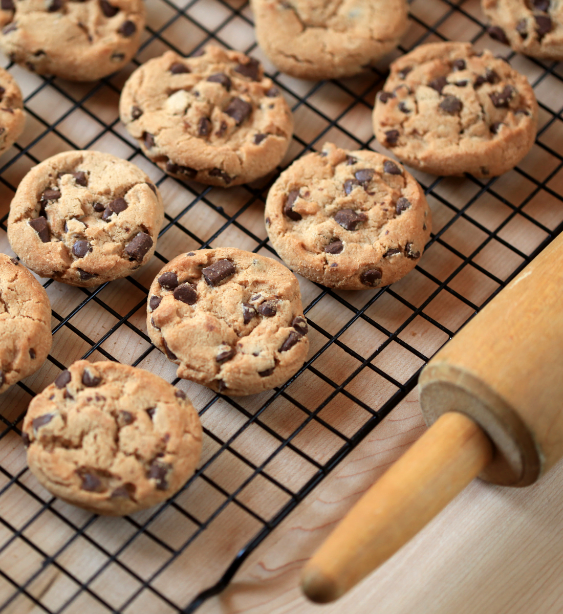 lactation cookie recipe to support breastfeeding mamas