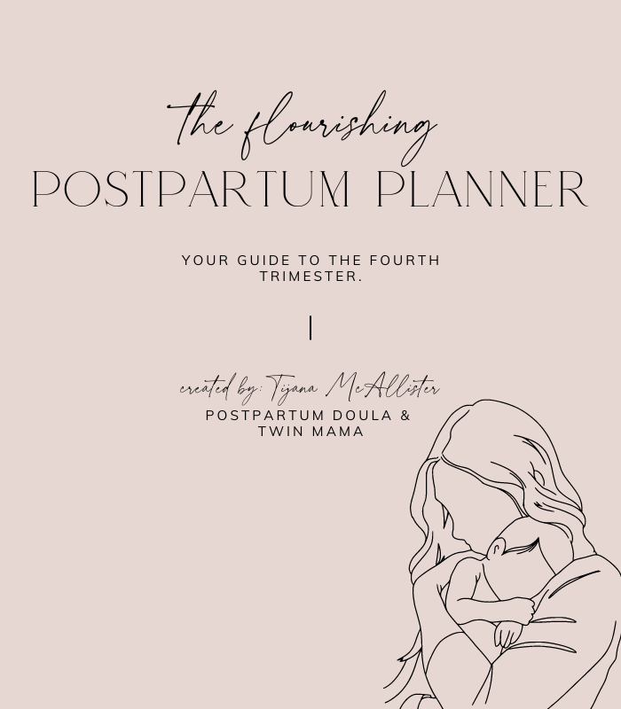 Tijana McAllister's Flourishing Postpartum Planner Book Cover